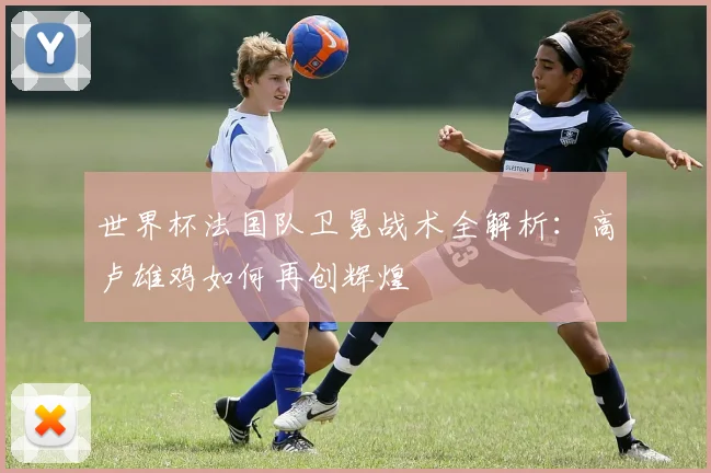 世界杯法国队卫冕战术全解析:高卢雄鸡如何再创辉煌
