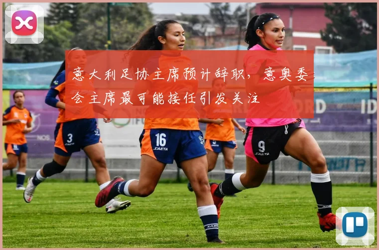 意大利足协主席预计辞职,意奥委会主席最可能接任引发关注