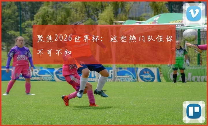 聚焦2026世界杯：这些热门队伍你不可不知